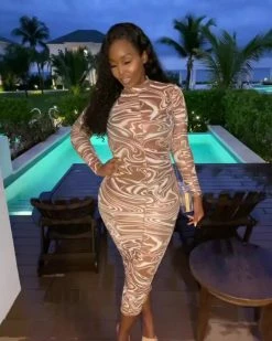 莱恩 Swirl My Way Mesh Maxi Dress New In