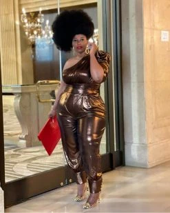 亦凡 Maya Metallic Jumpsuit New In