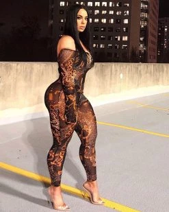 Divanewlook Mesh Leopard Jumpsuit