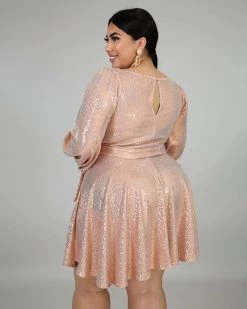 绣川 Sprinkle Flare Plus Size Dress 8 绣川 Sprinkle Flare Plus Size Dress